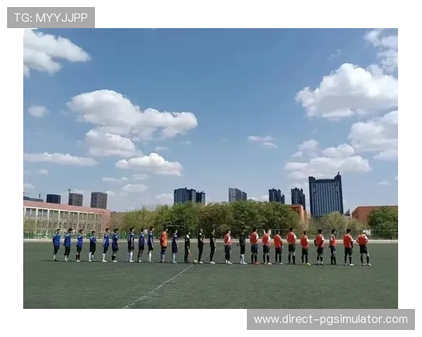 星辰之光照耀绿茵赛场Celesti足球俱乐部的荣耀与传奇探索 星辰之光照耀绿茵赛场Celesti足球俱乐部的荣耀与传奇探索